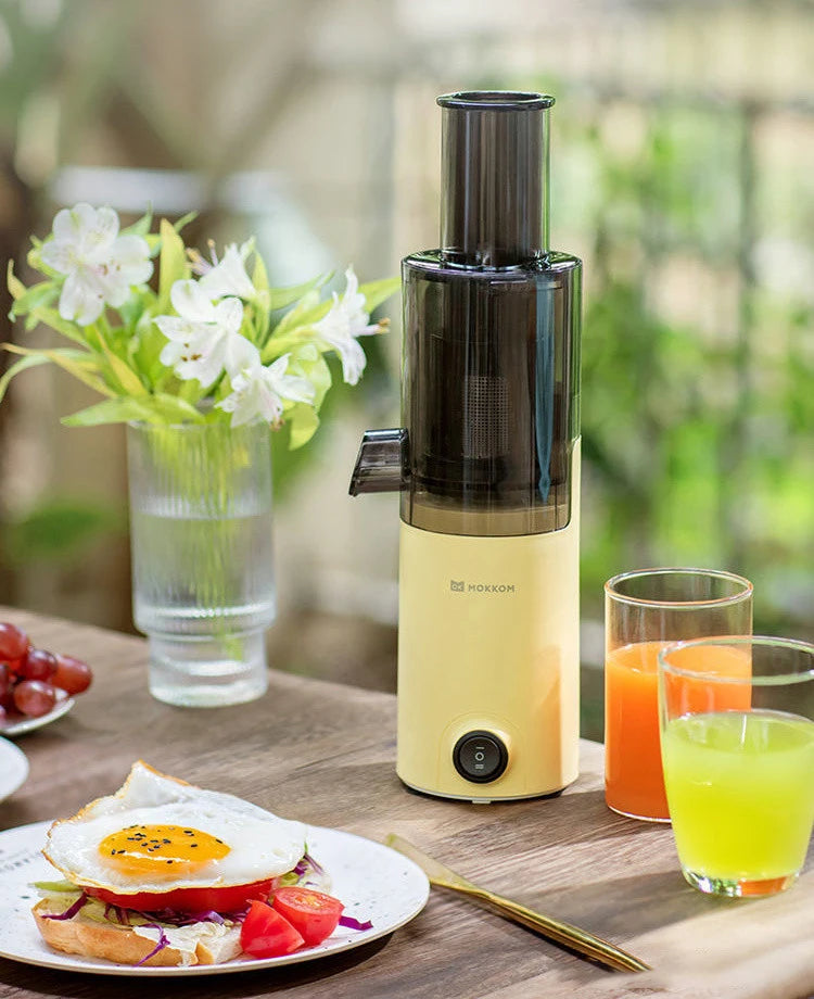Juixo Mini SlowPress Juicer