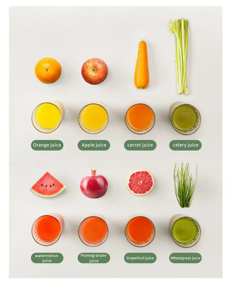 Juixo Mini SlowPress Juicer