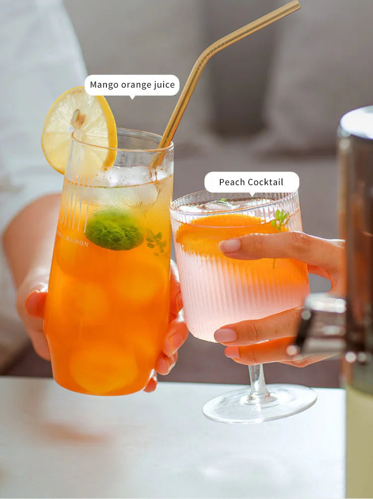 Juixo Mini SlowPress Juicer